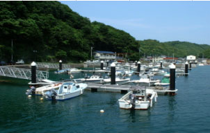 高知県大月町フィッシャリーナ泊浦（トマリウラ）